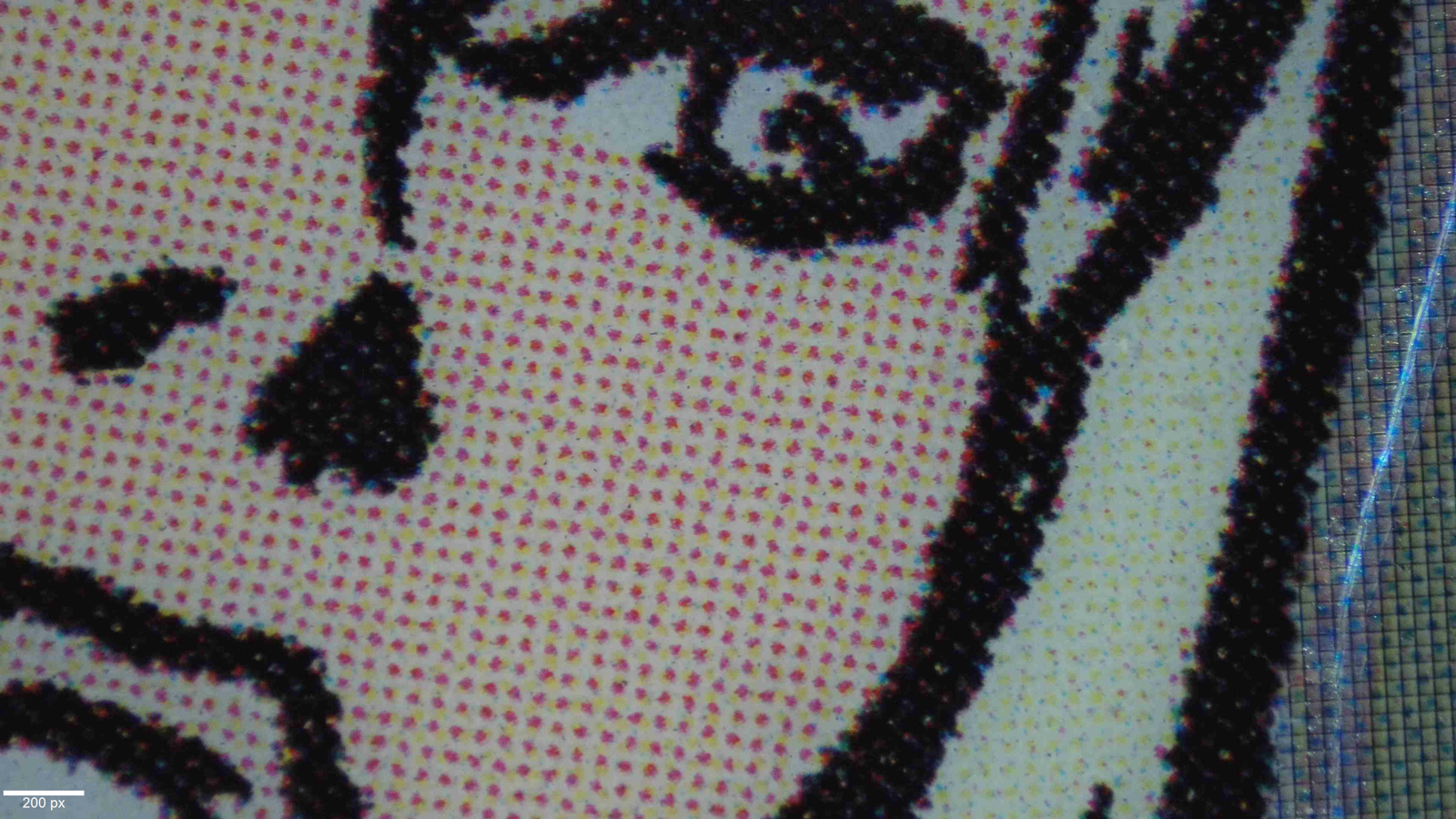Captura microscópica PGC 1