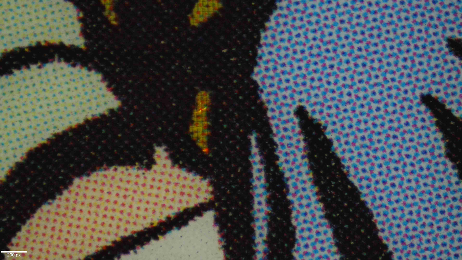 Captura microscópica PGC 2